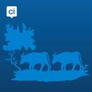 Wijchen APK