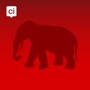 Catania APK