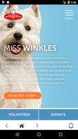 Miss Winkles Affiche