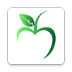 city shop APK