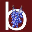 Bullard Connect