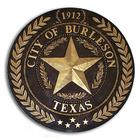 City of Burleson icon