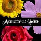 Motivational Quotes biểu tượng