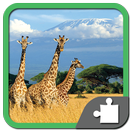 African landscapes jigsaw puzzle-APK