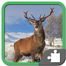 Animal Jigsaw puzzle-APK