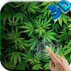 Marihuana 3D Live-Hintergründe Zeichen