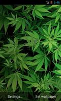 Marijuana 3D Live Wallpaper HD Cartaz