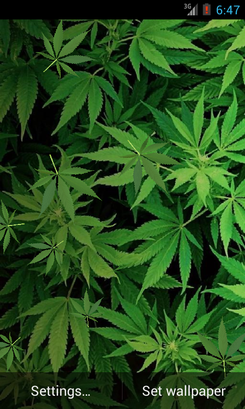 Marijuana 3D Live Wallpaper HD APK  for Android – Download Marijuana 3D  Live Wallpaper HD APK Latest Version from 