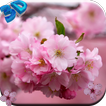 Cherry Flower Live Wallpaper