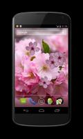 Kirschblumen Live Wallpaper! Screenshot 2