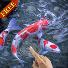 Koi fish Live Wallpaper icône
