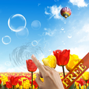 Tulips and Bubbles LWP APK