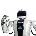 HUBO (KAIST Humanoid Robot) icon