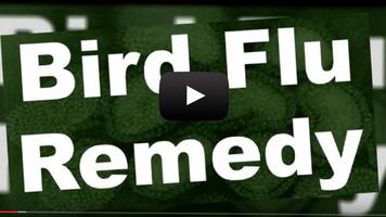 Bird Flu Remedy capture d'écran 2