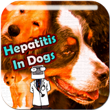 Hepatitis In Dogs ícone