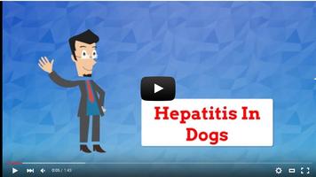 Hepatitis In Dogs imagem de tela 2