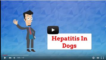 Hepatitis In Dogs تصوير الشاشة 2