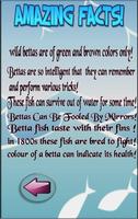 برنامه‌نما betta fish care-ultimate guide عکس از صفحه