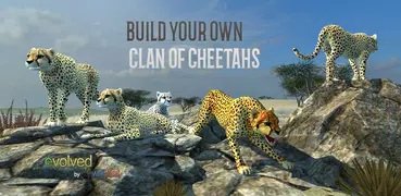 Clan of Cheetahs