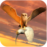 Clan of Owl APK