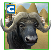 Buffalo Wild Bull Simulator