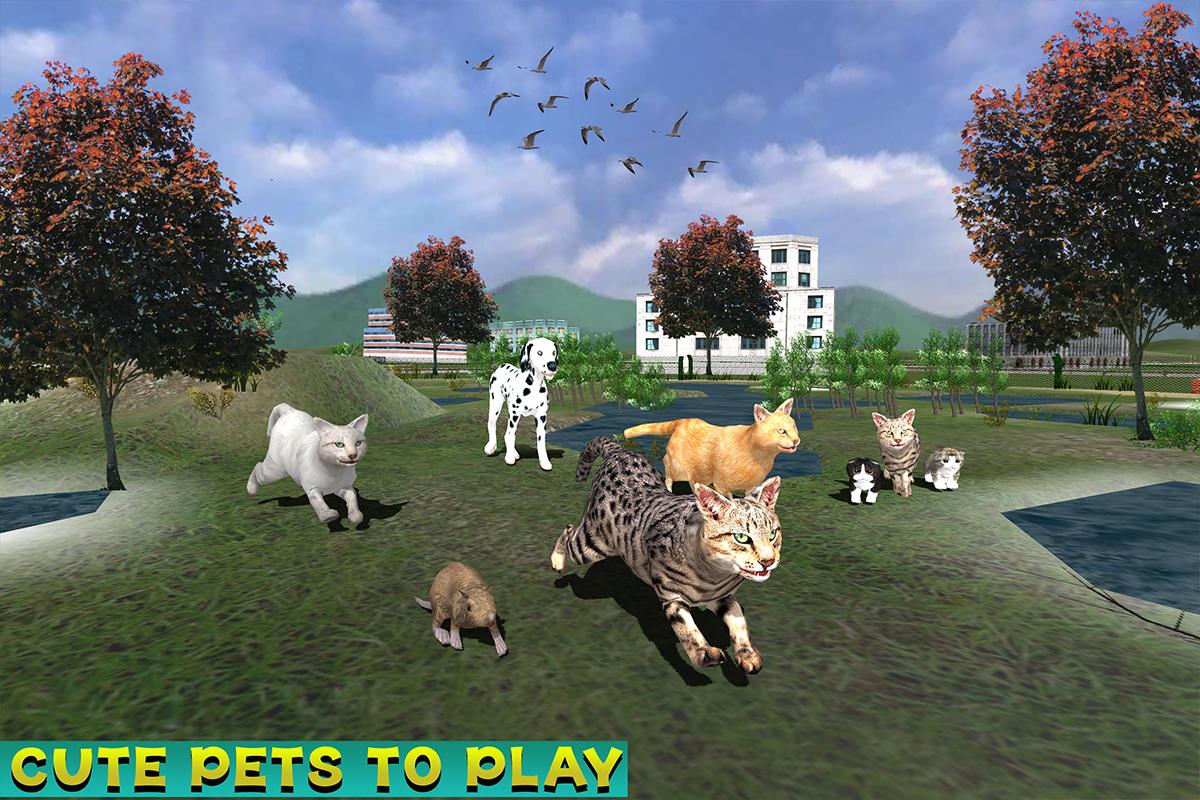 Игры животные кошки