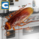 Cockroach Insect Simulator icône
