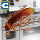 Cockroach Insect Simulator aplikacja