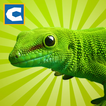 lagarto Simulator