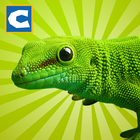 Lizard Simulator ikon