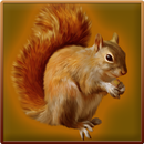 Forest Squirrel Simulator APK