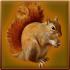 Forest Squirrel Simulator icône