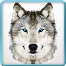 Ultimate Wild Wolf Simulator APK