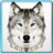 Ultimate Wild Wolf Simulator APK