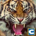 Окончательный Tiger Simulator иконка
