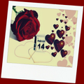 Love Romantic Photo Frames HD