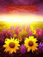 Beautiful Sunset poster