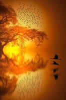 Beautiful Sunset screenshot 3