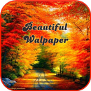 Beautiful Walpaper APK