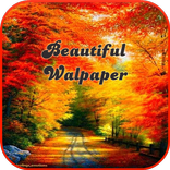Beautiful Walpaper