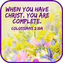 Best Bible Quotes APK
