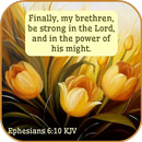 Bible Verse Daily APK