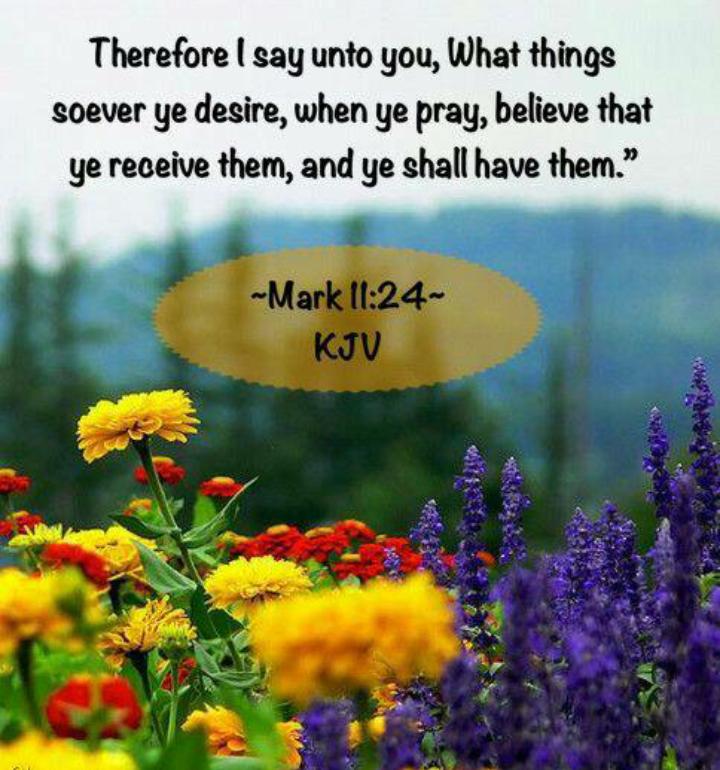 Bible Verse Daily APK for Android Download Bible Verse Daily APK for Android Download
