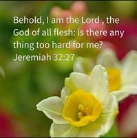 Bible Verses screenshot 2