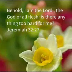 download Bible Verses APK