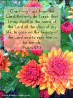 Bible Verses screenshot 3