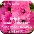 Bible Notes APK