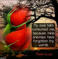 برنامه‌نما Bible Quotes عکس از صفحه