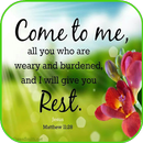 Bible Quotes Daily APK