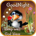 Good Night